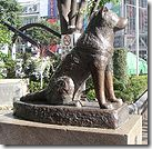 Hachiko